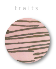 traits